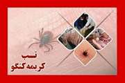     هشدار مدیر کل دامپزشکی استان آذربایجان غربی در خصوص بیماری تب کریمه کنگو (cchf)